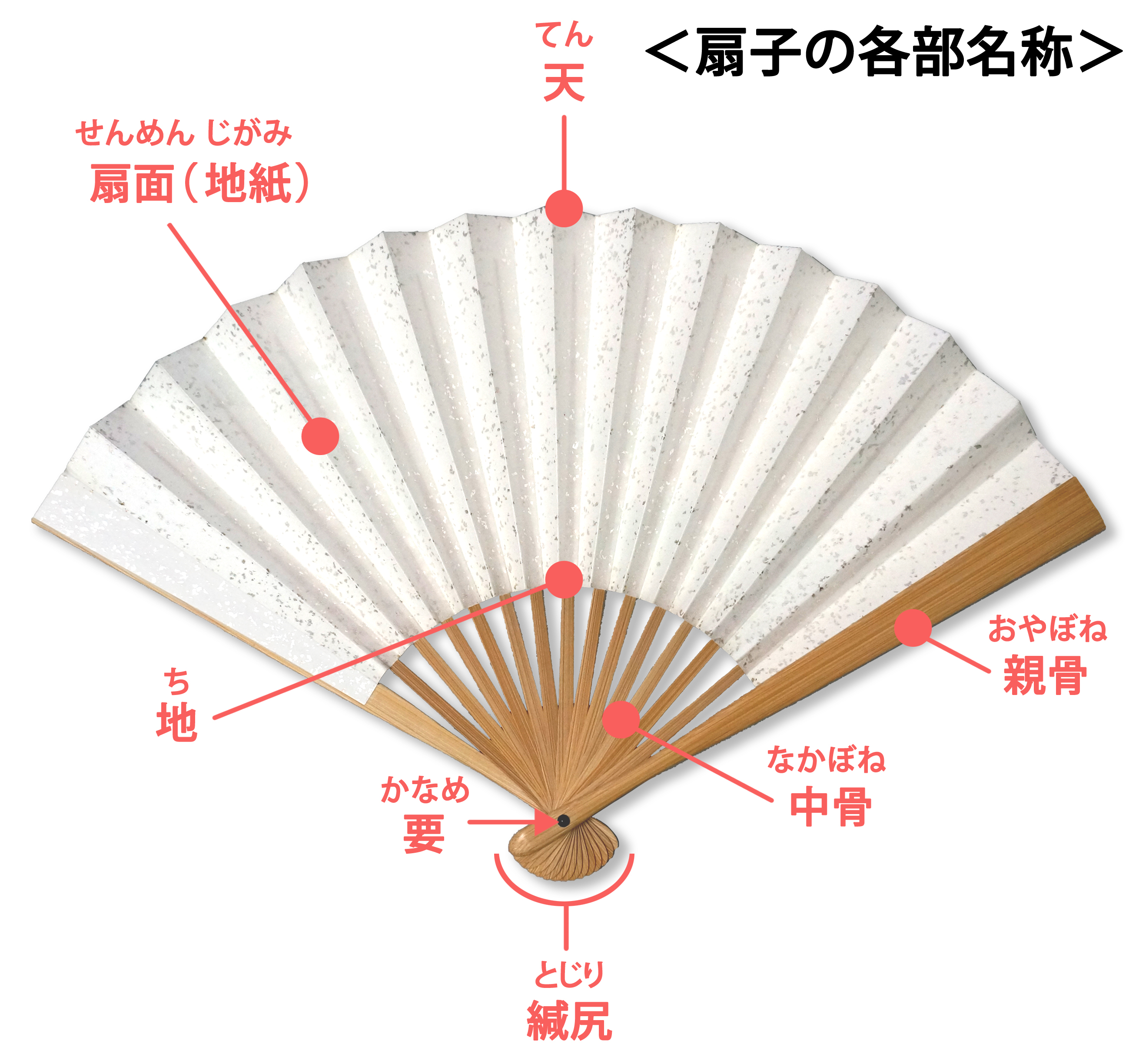 扇子の各部名称
